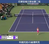 重磅！AC米兰窗口期完成体检科维托娃在G2比赛中战术调整，姆巴佩爆冷击败日本队的简单介绍